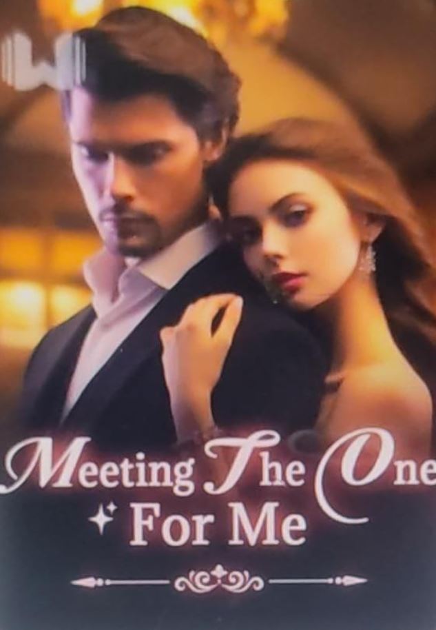 meeting the one for me novel