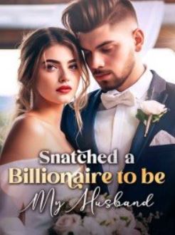 snatched-a-billionaire-to-by-my-husband-novel