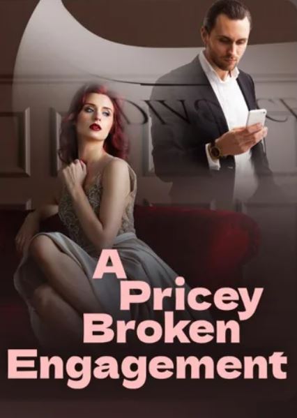 a-pricey-broken-engagement-novel