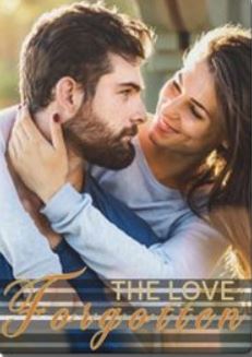 the-forgotten-love-novel