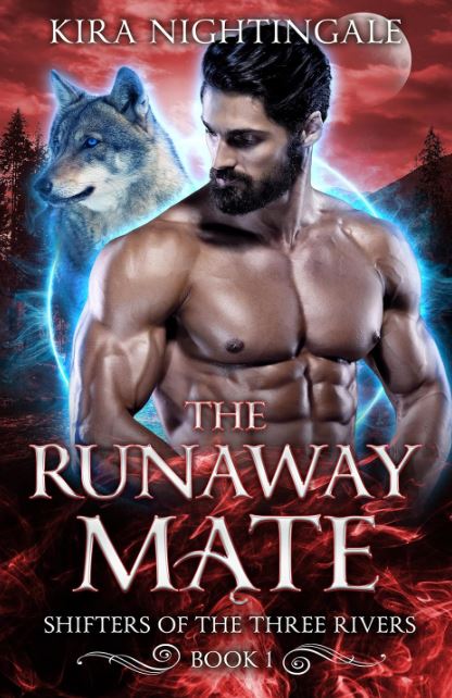 the-runway-mate-novel