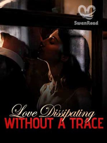 love dissipating without a trace novel